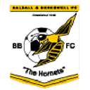 Balsall & Berkswell Hornets
